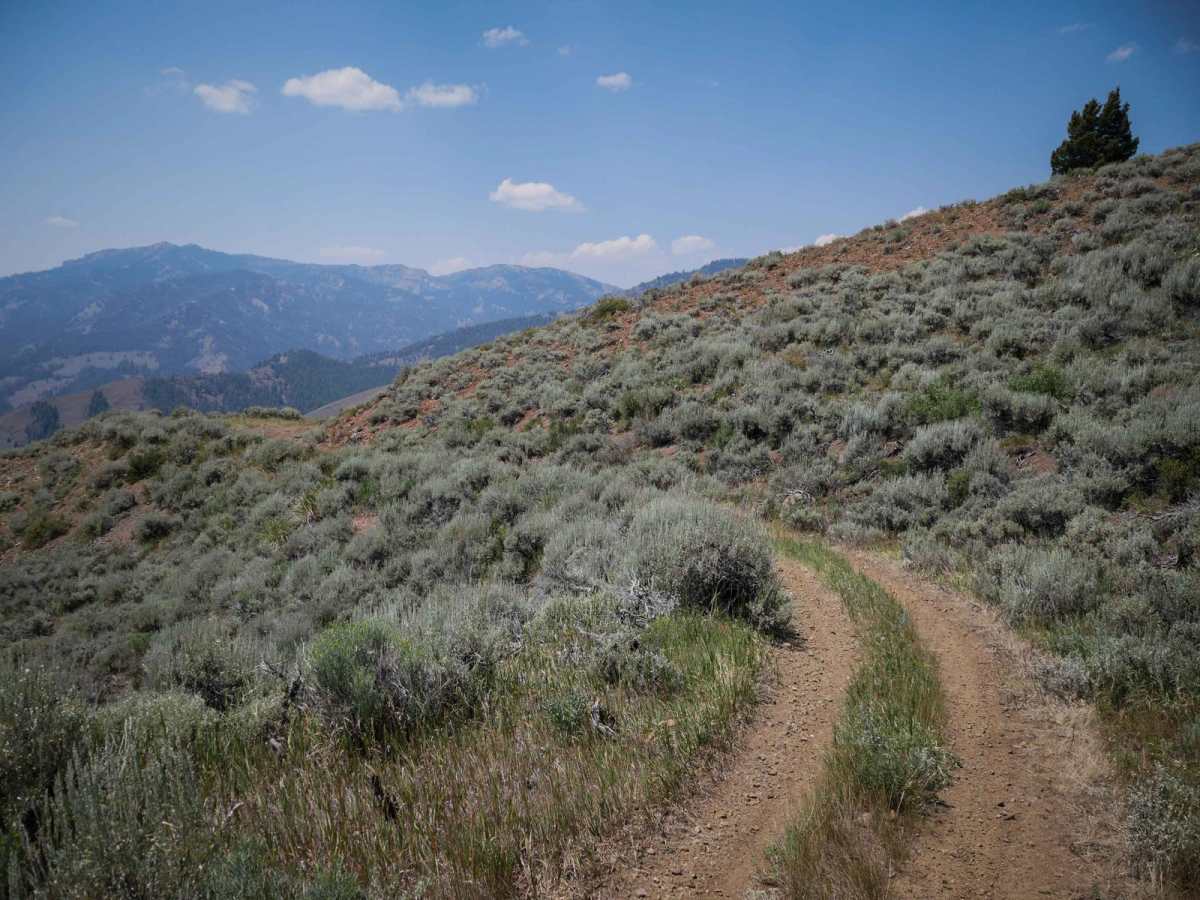 Leg Creek ATV photo 2