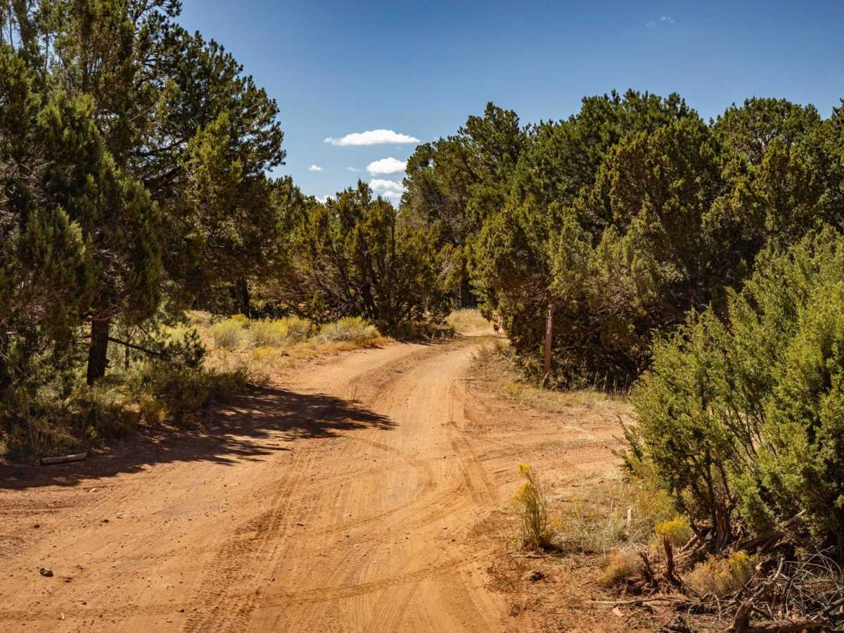128 E trail photo