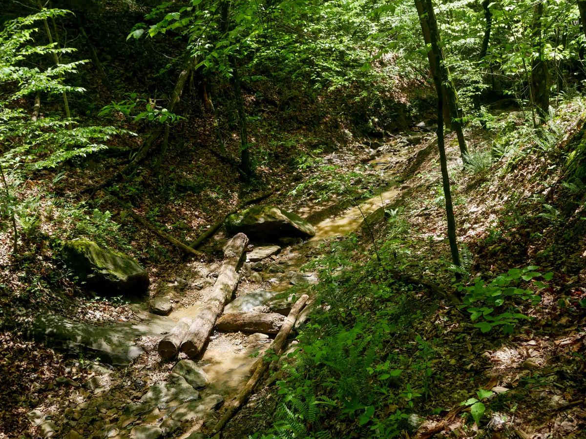 IB 90 photo 5