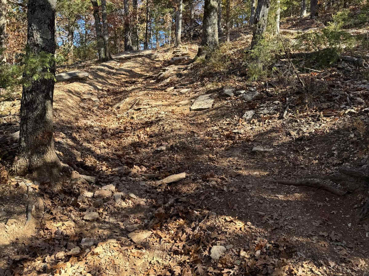 Purple 58 trail photo