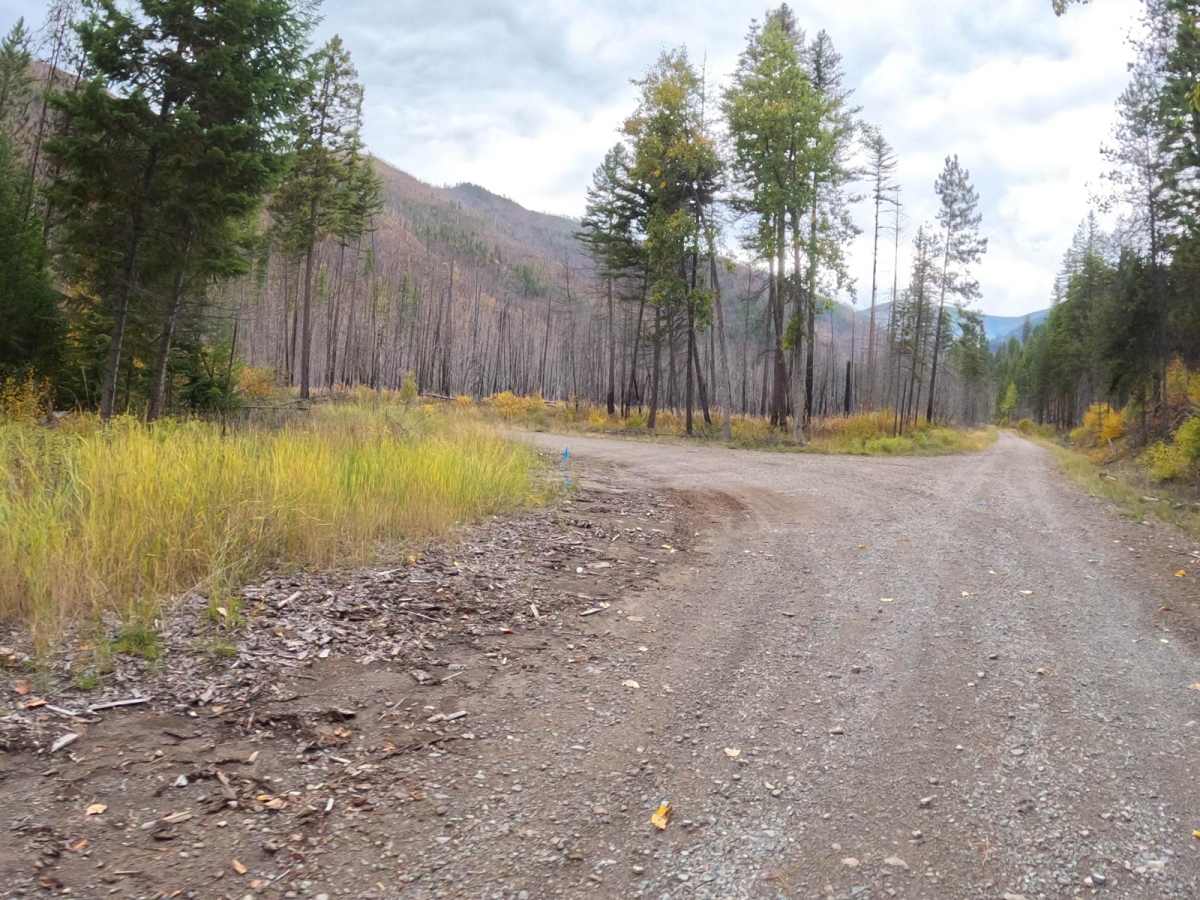 Saint Pats Road-Cyr Iron Mountain Road photo 2