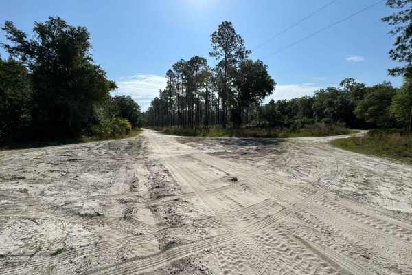 Fish Camp Road South - Lochloosa WMA West