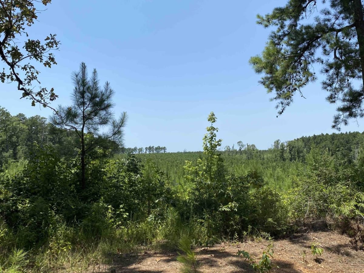 Jake Creel Road photo 5