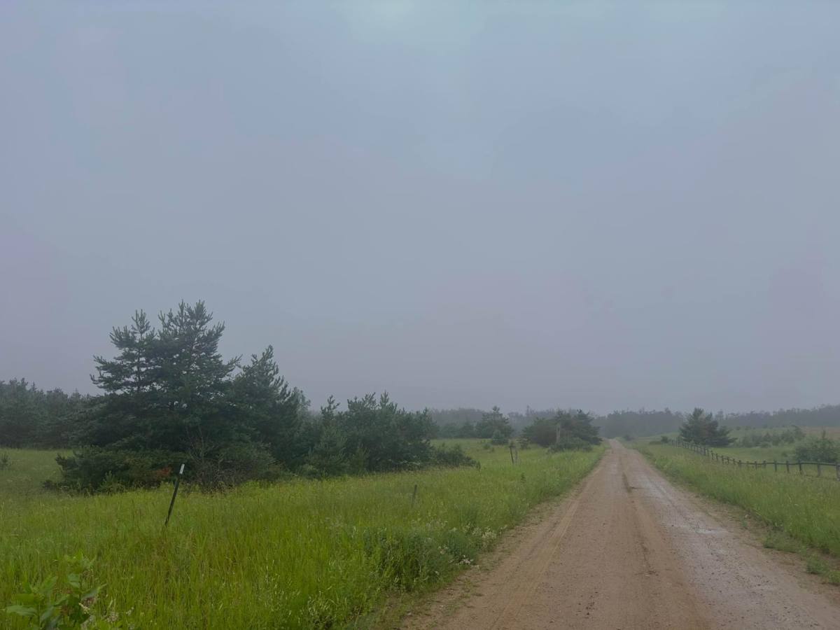 Jordan River Road photo 4