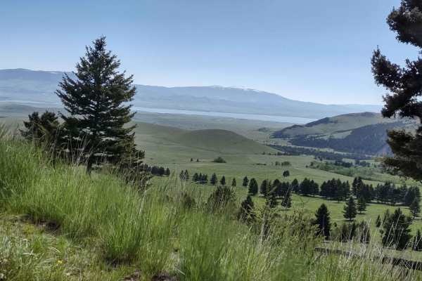 Crow Creek