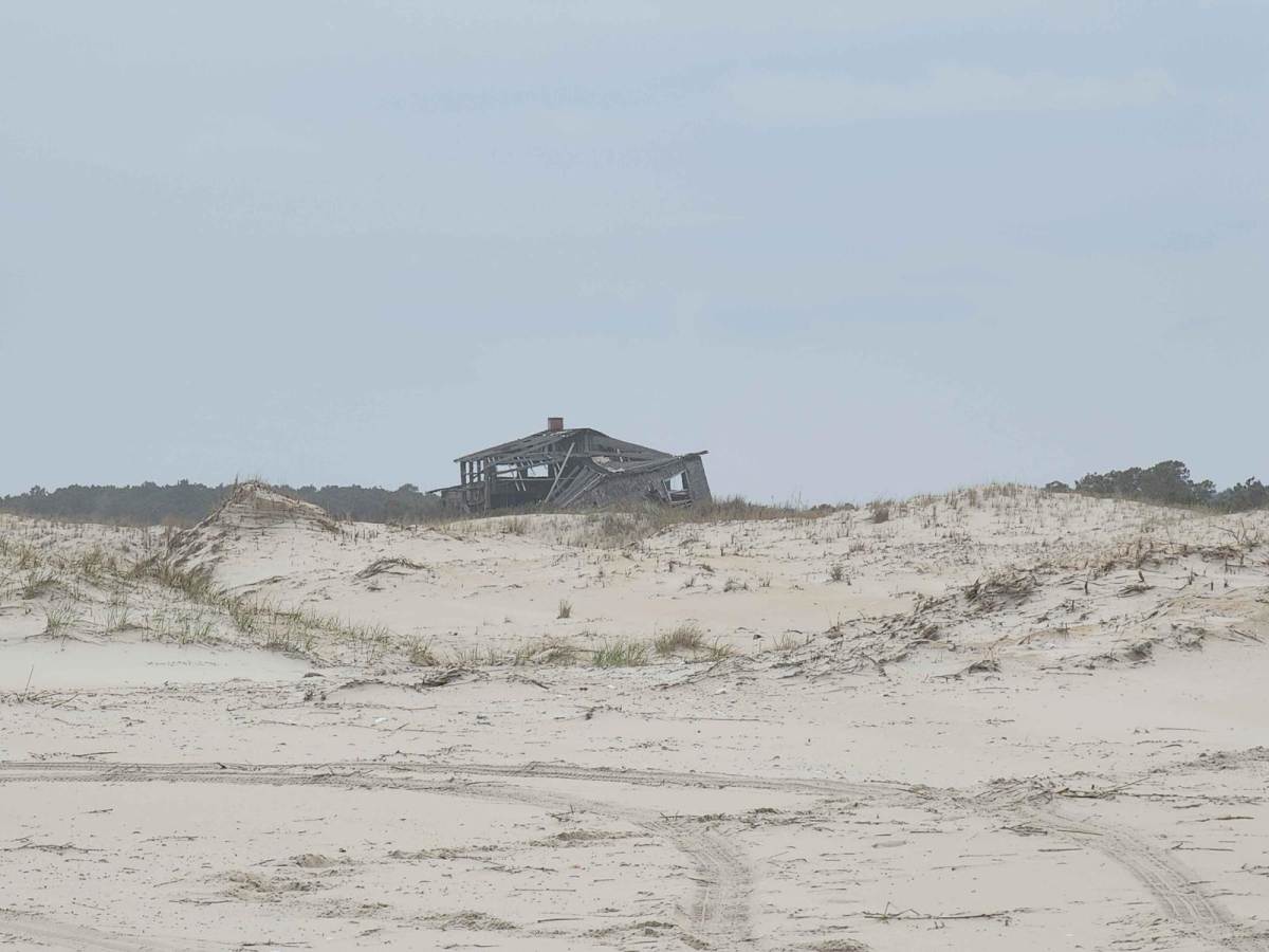 Assateague Island OSV photo 6
