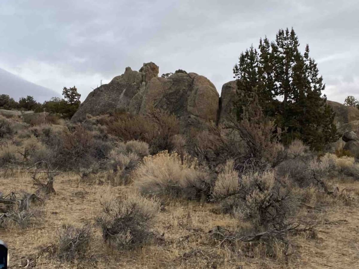 Fort Sage photo 6