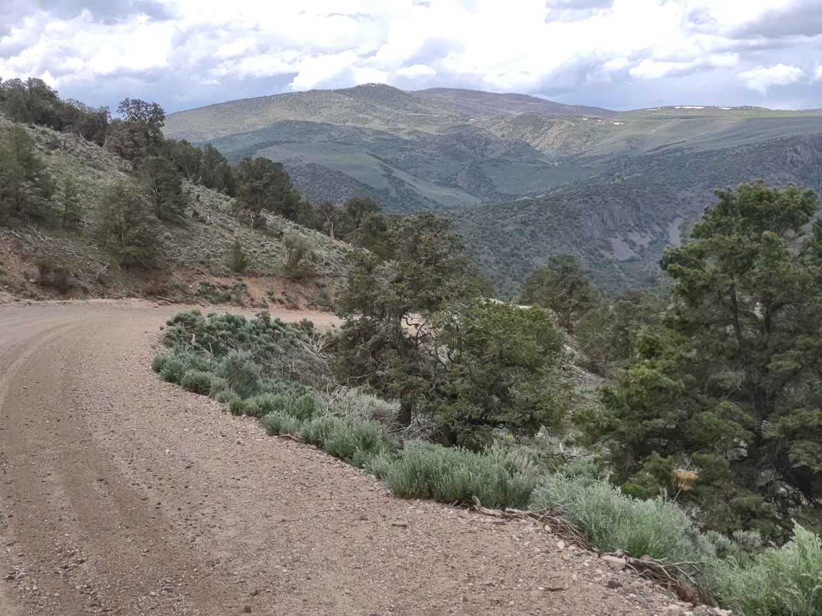 Box Creek Road (FS# 40069) trail photo