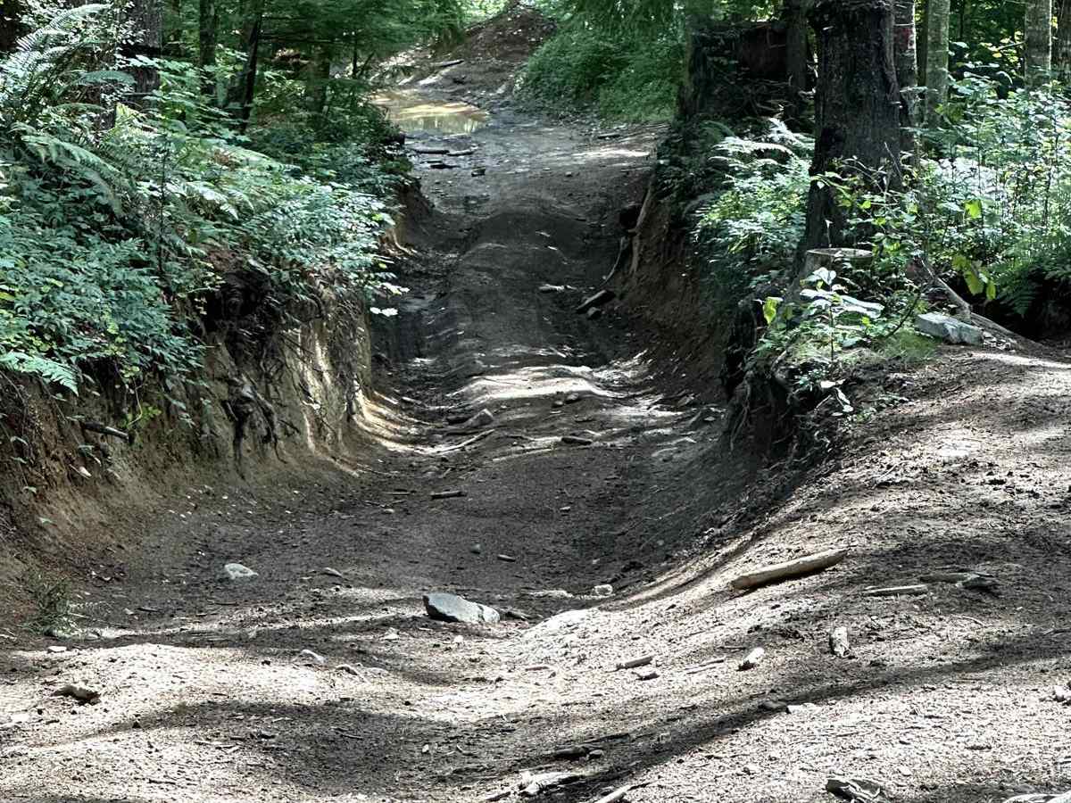 Alder Loop Trail photo 2