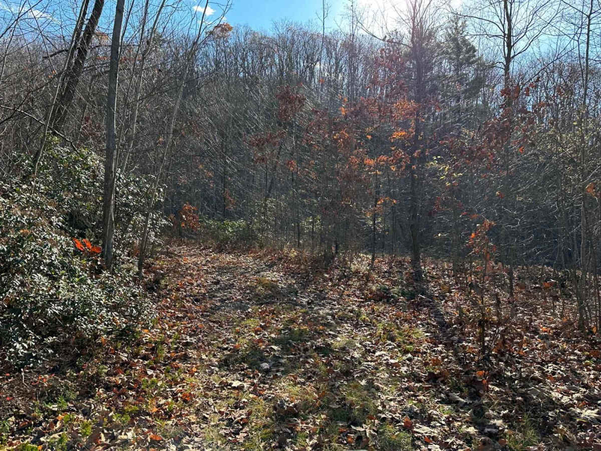 Ashland 159 photo 2