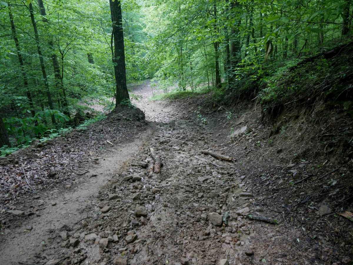 B36 trail photo