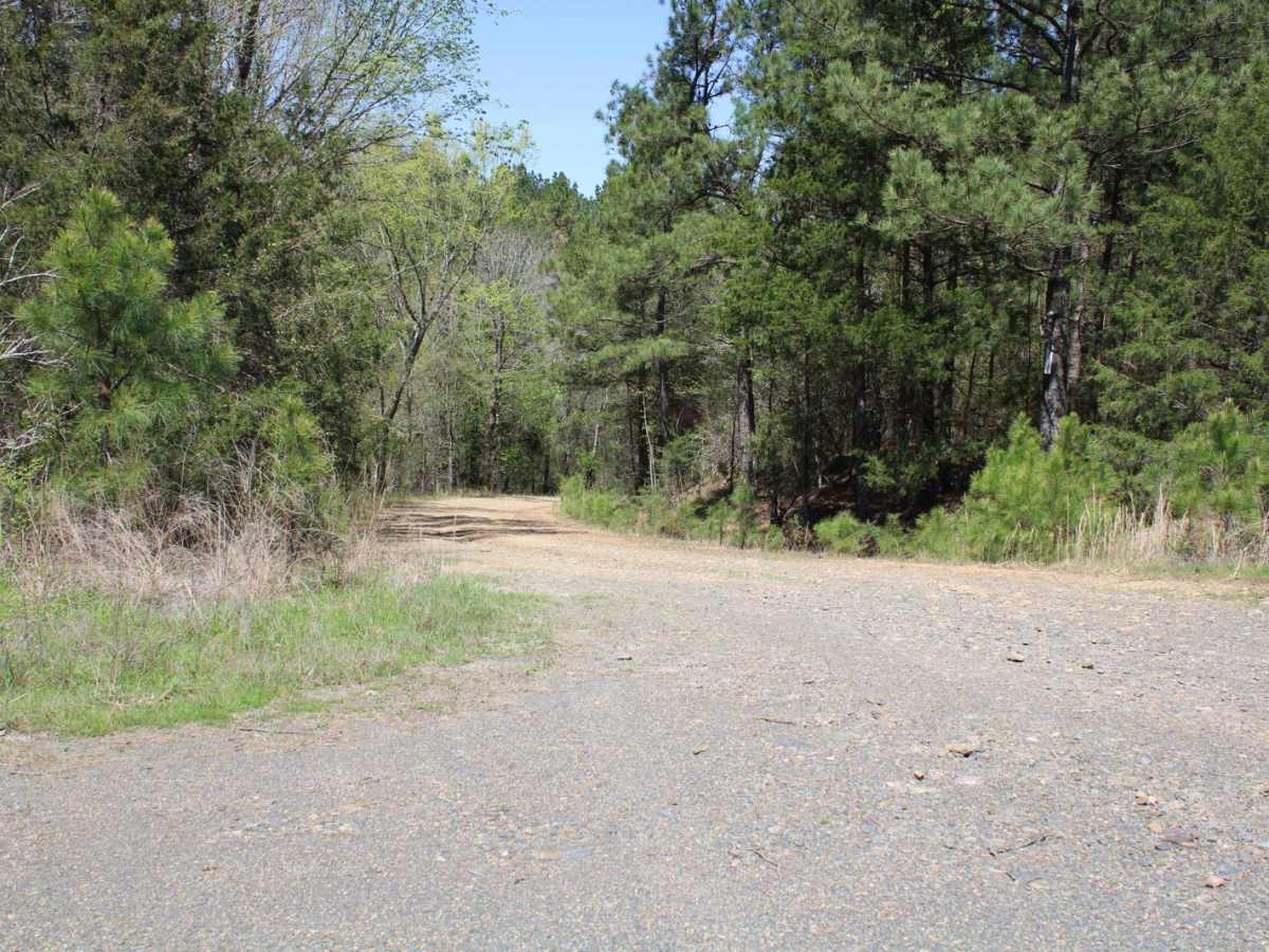 Howard County WMA To Highway 278 photo 5