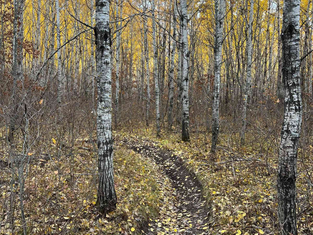 Huntersville Smooth Switch Back Start photo 2