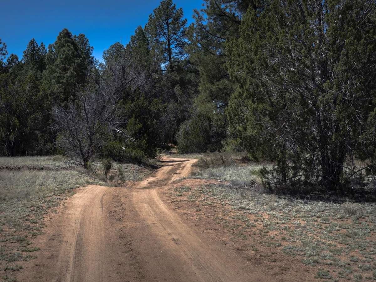 Graver Wash photo 2