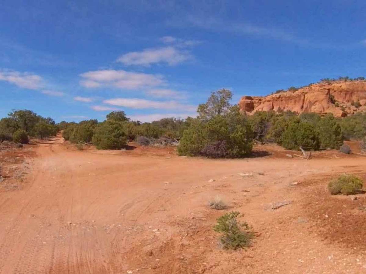 Happy Canyon-BLM16250 photo 3