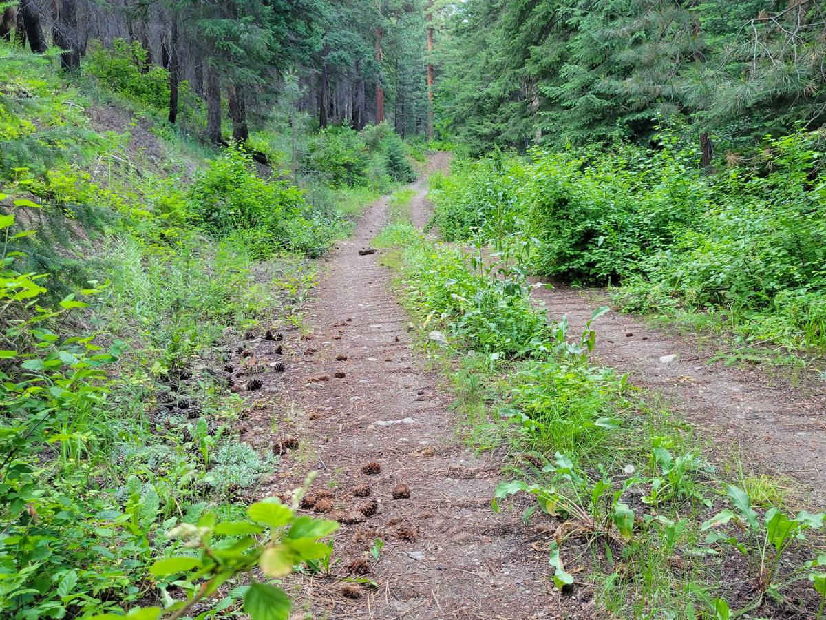Cabin Creek photo 2
