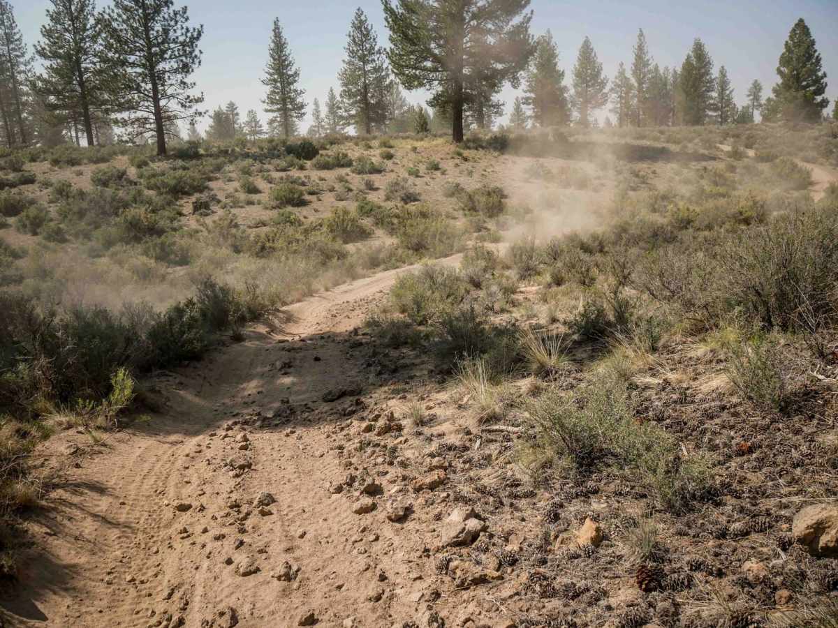 23 trail photo