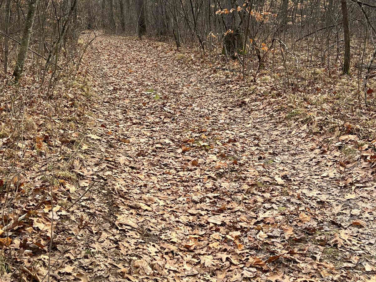 NFS 5179 photo 4