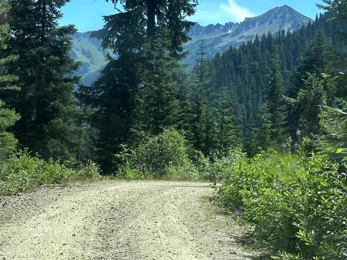 Snowy Creek Trailhead photo 5