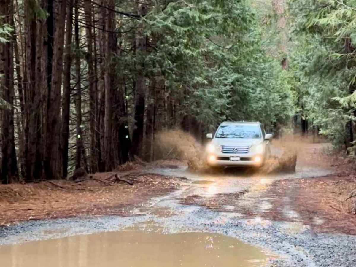Elliot Ranch Road photo 5