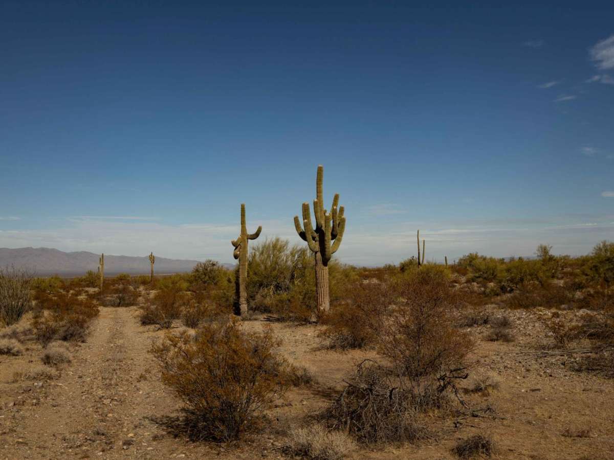 21183 Trail photo 6