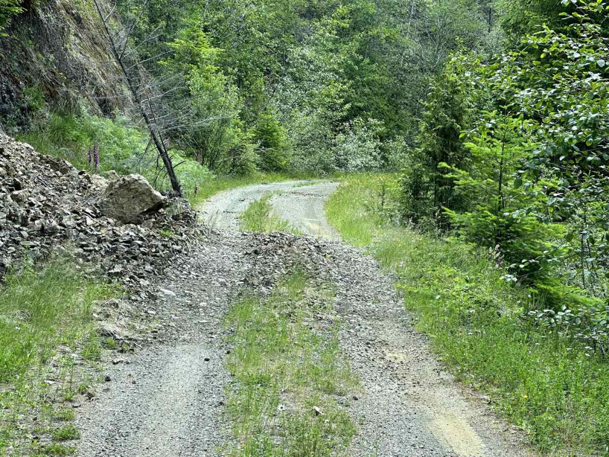 Cougar Mountain Trail photo 3