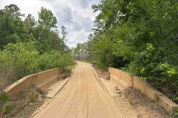 Spring Creek - ONF 6
