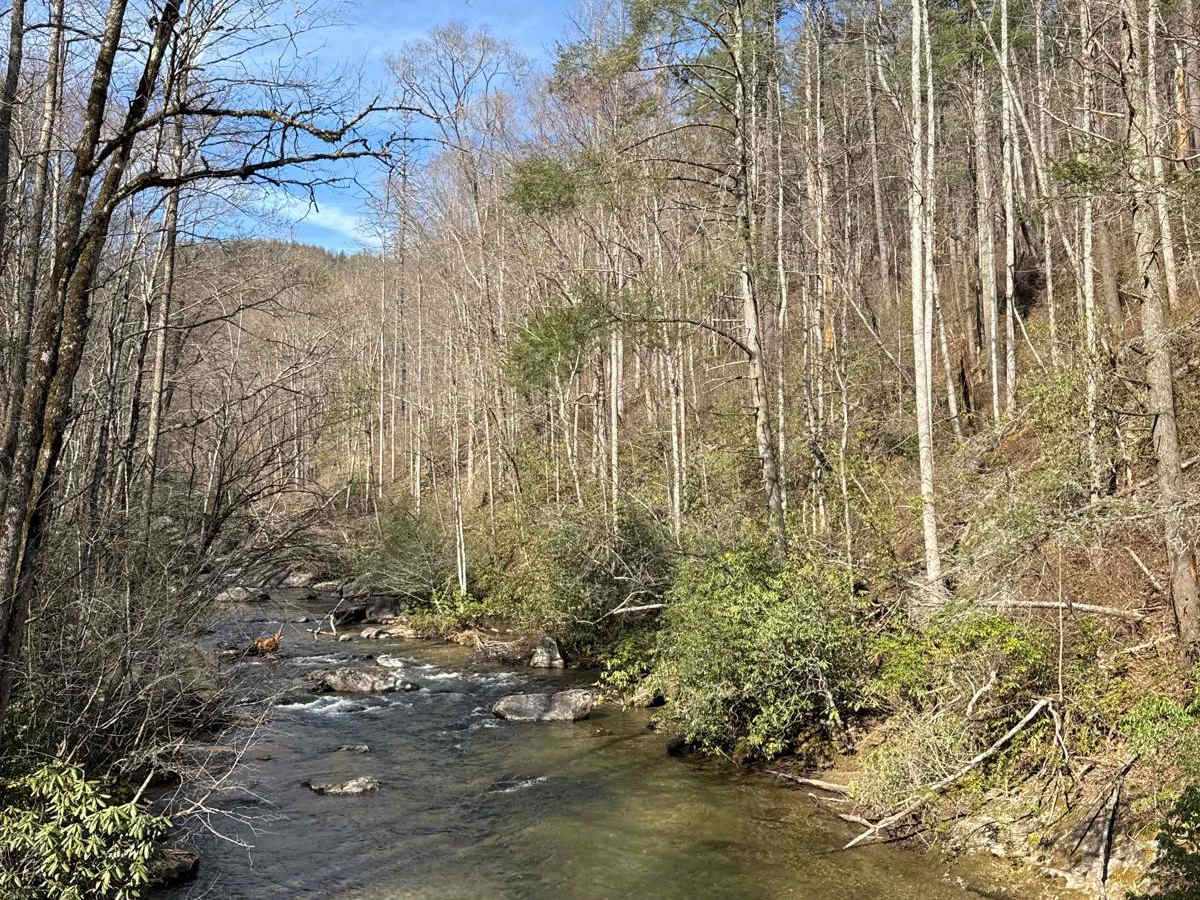 Tallulah River  Trail - FR 70 trail photo