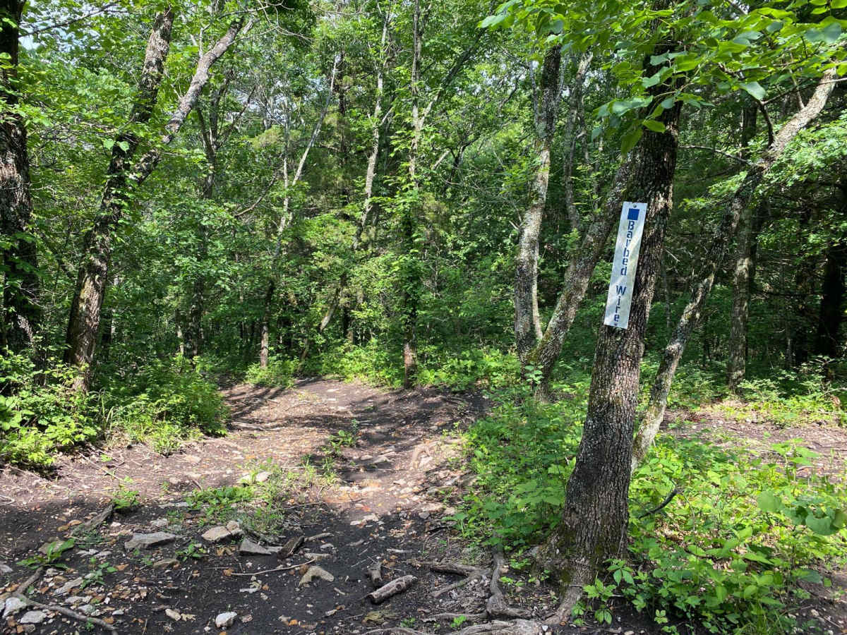 Barbed Wire trail photo