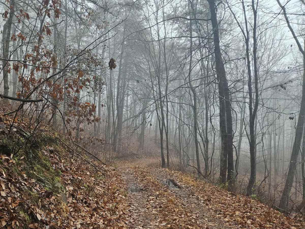 Chestnut Mountain (212A) photo 5