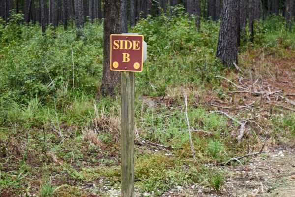 Bonneau Ferry WMA - Perimeter Loop B