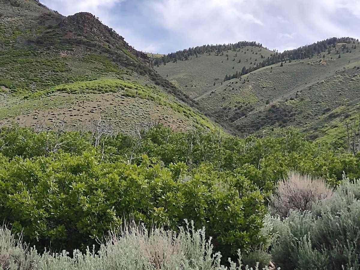 Smith Canyon Access (FS# 41190) photo 4
