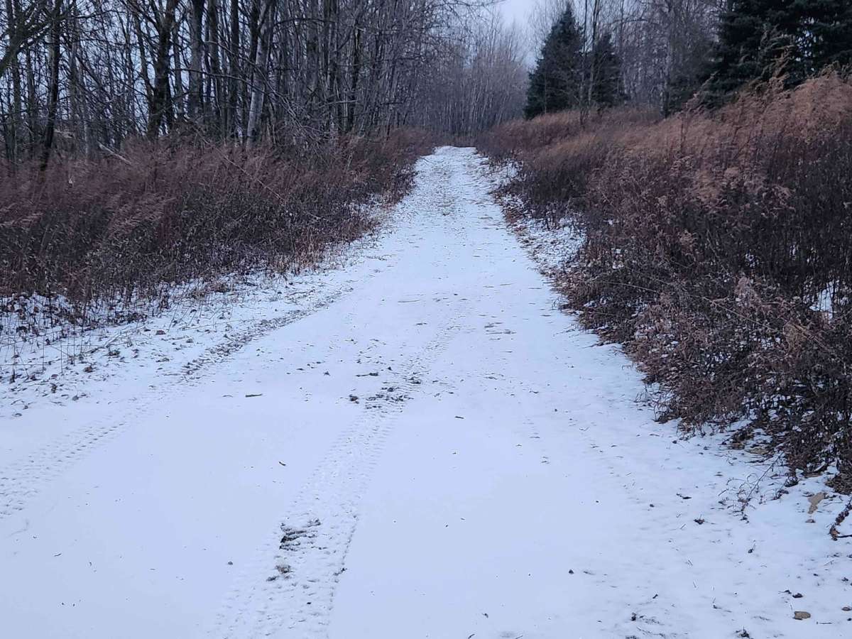Flat Rock - Green - Rock Run Recreation Area photo 5
