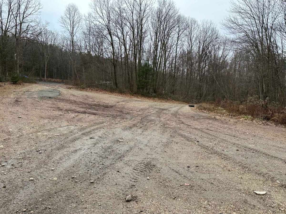 Locust Gap 54 photo 5