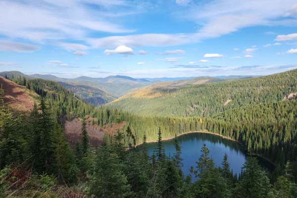 Upper Red Ives Creek