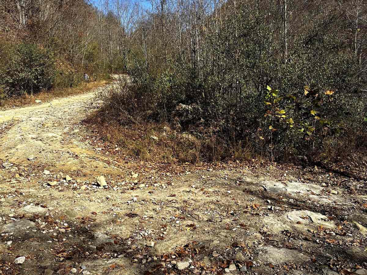 Trail 10 trail photo
