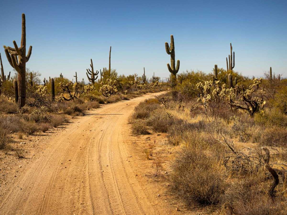 Paisano's Pathway photo 3