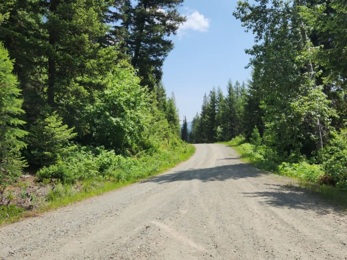Coal Creek to Dead Horse #317 photo 4