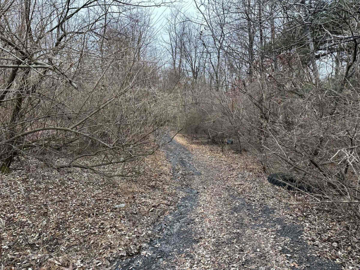 Locust Gap 25 trail photo