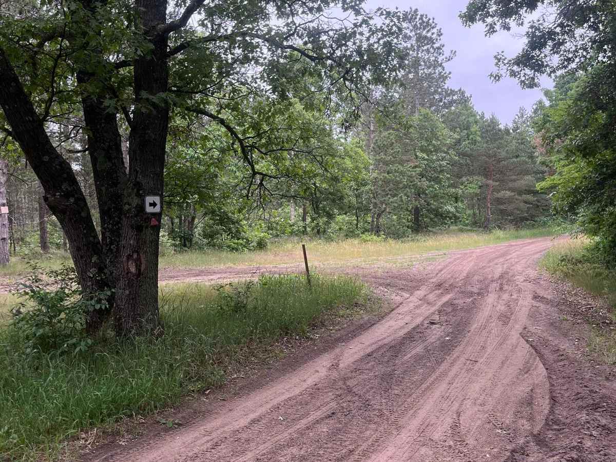 Holton Loop Motorcycle Trail South photo 5