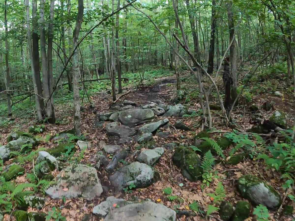 Mountain Ridge ATV Park Singletrack BB photo 3