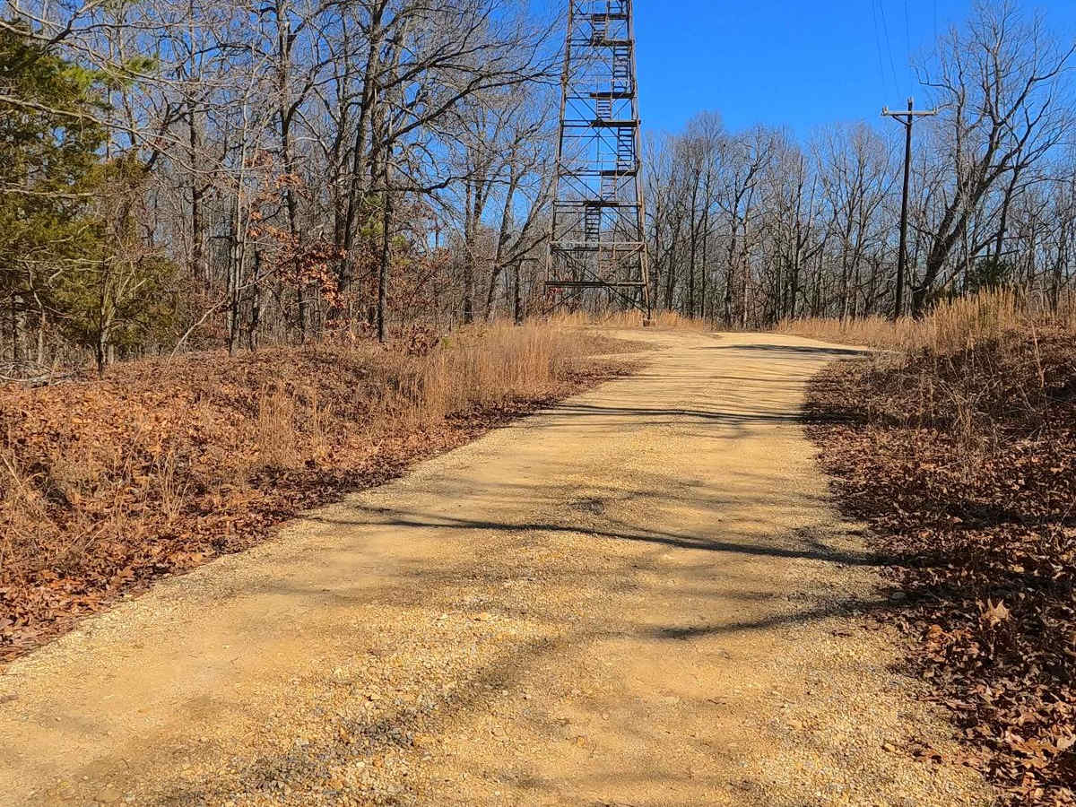 Racetrack Hollow Road - FS 131 photo 5