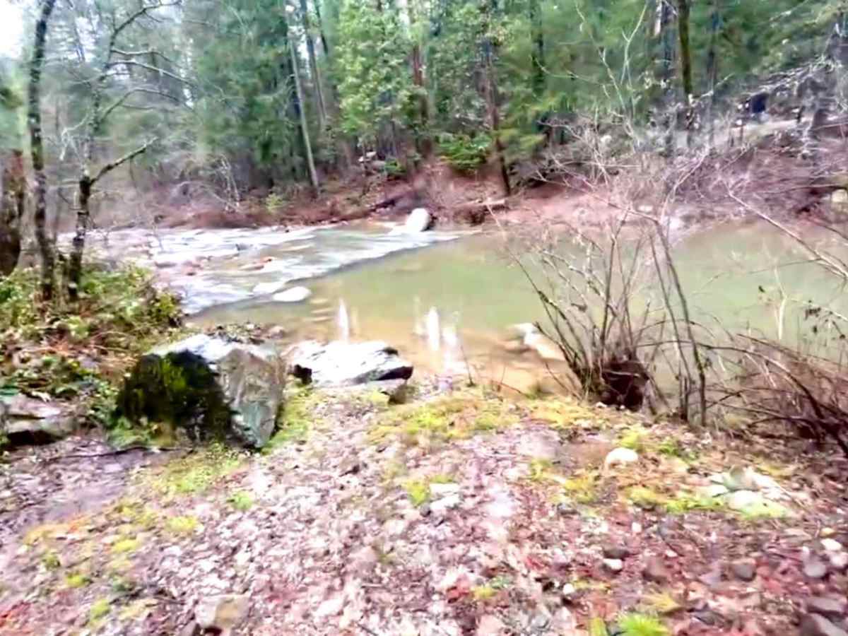 Sly Creek Trail photo 4