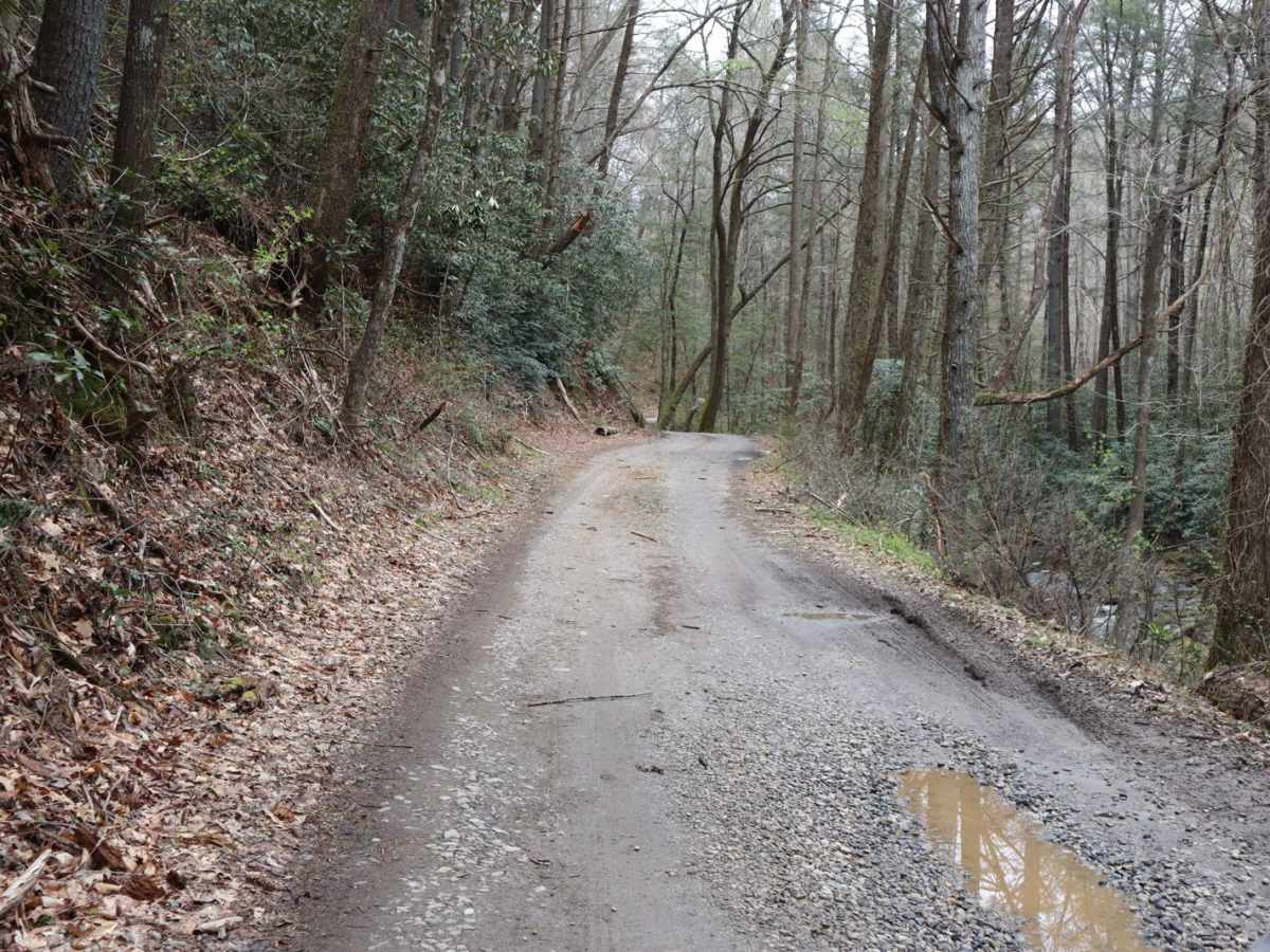 Boggs Creek photo 4