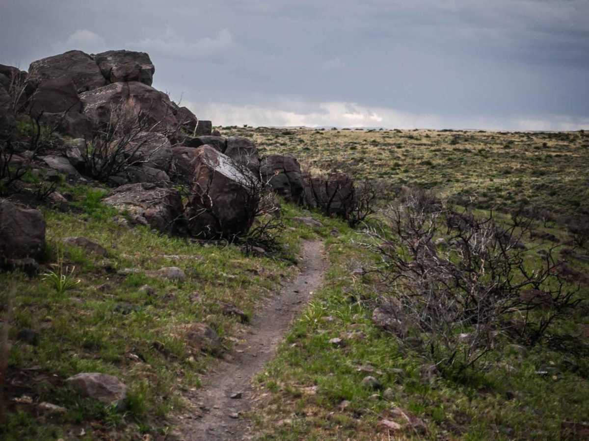 Matt's Gulch trail photo