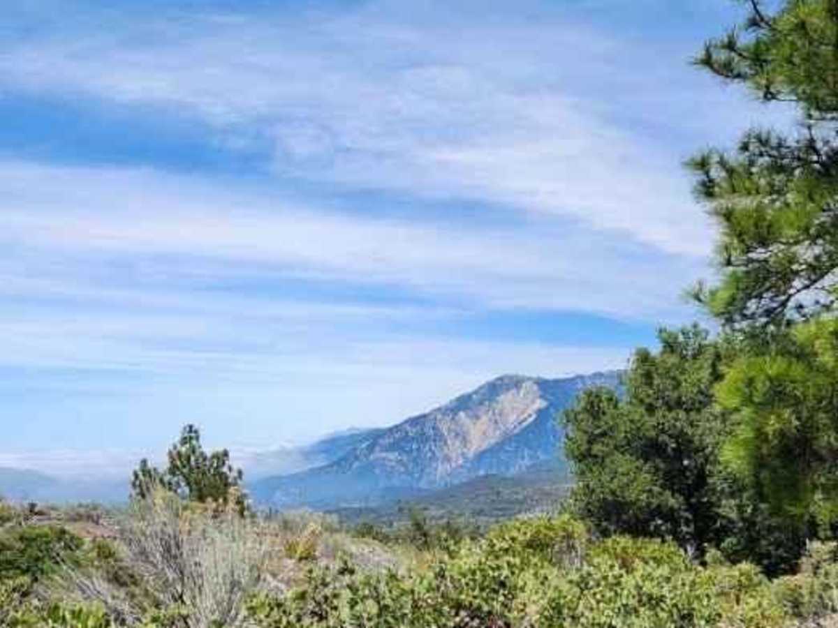 Hill Ranch photo 3