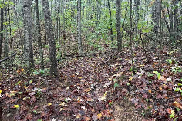 175 Single Track