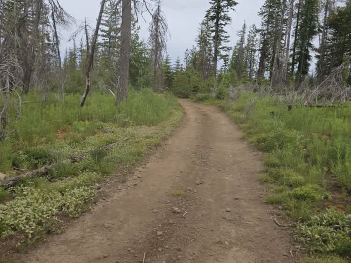 North to South Trail photo 5