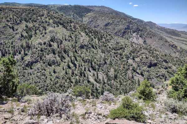 Lower Rock Canyon Overlook - FS 4950