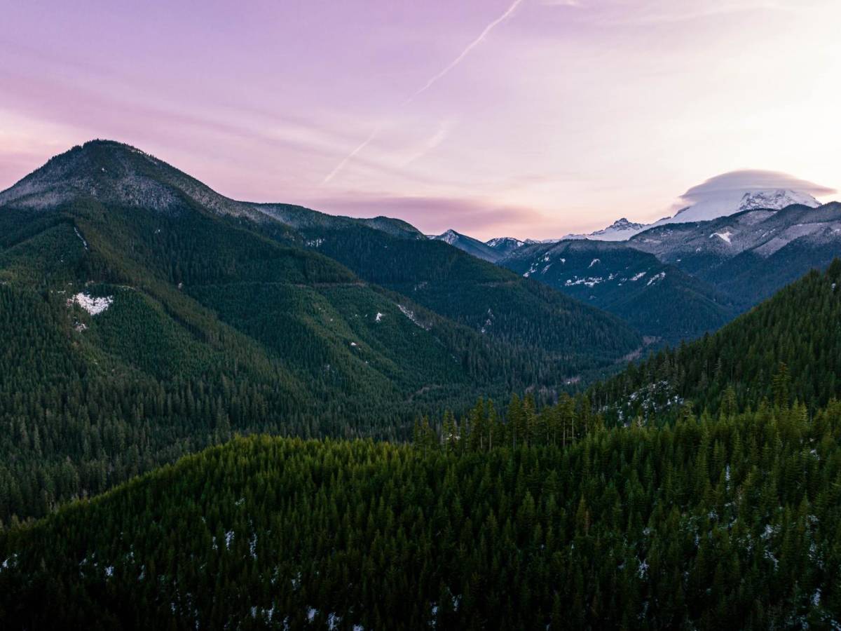 Dickman Mountain Lookout trail photo